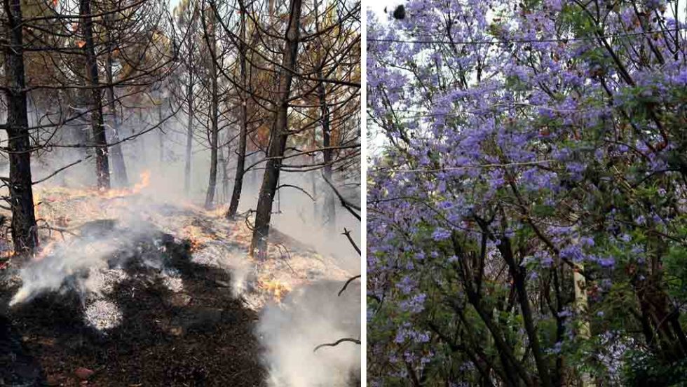 evros fotia - akakies